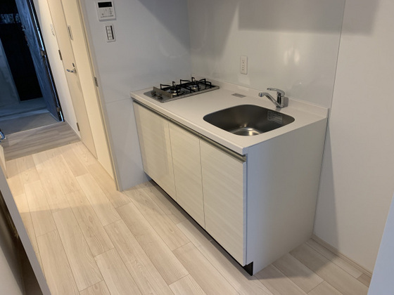 キッチン　※別号室の写真です