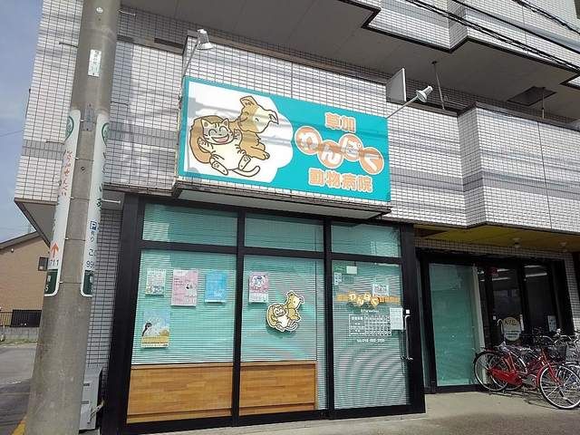 病院　わんぱく動物病院（病院）まで700m