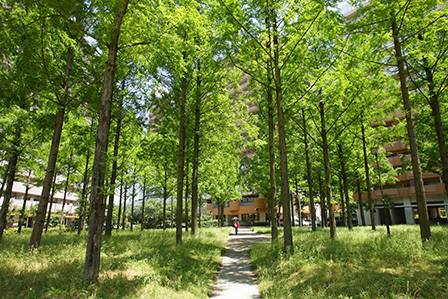 その他共有部分　「みどりのまち」にある「森の広場」（高須東公園）は散策に最適