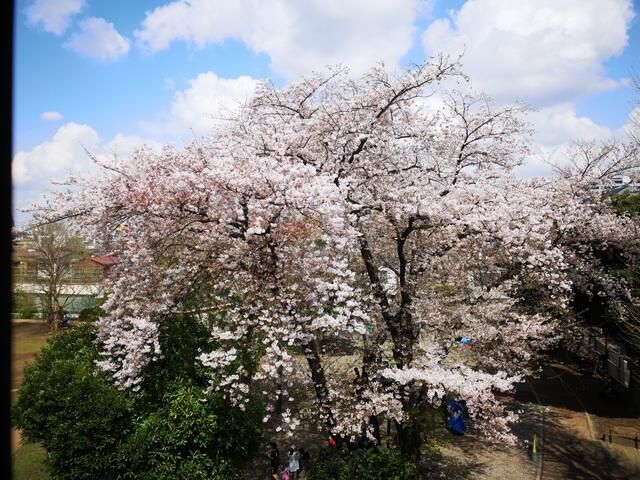 眺望