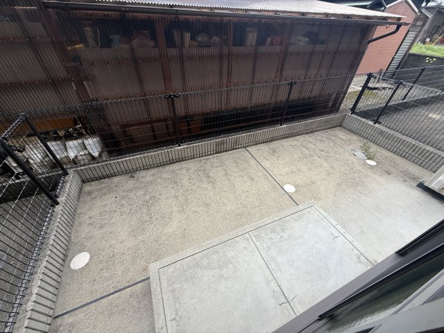庭