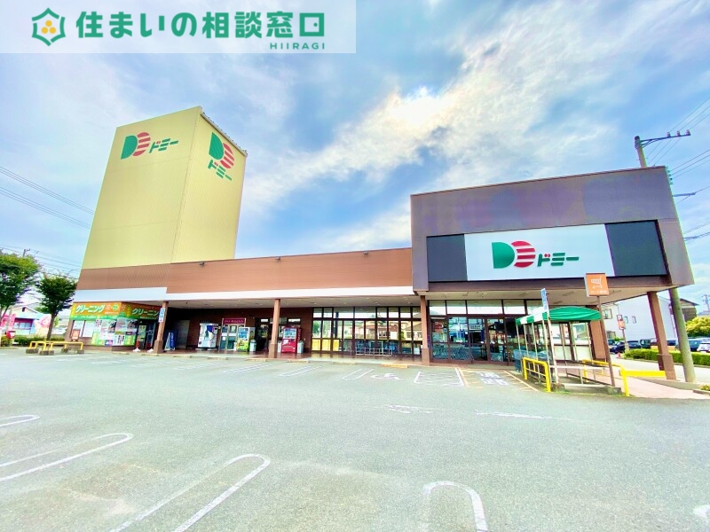 スーパー　ドミー寺津店（スーパー）まで1009m