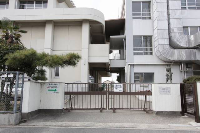 小学校　小碓小学校（小学校）まで884m