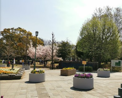 公園　湘南台公園（公園）まで423m