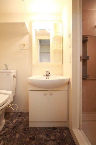 洗面設備　別タイプ参考写真　ステージファースト白山II　文京区白山2