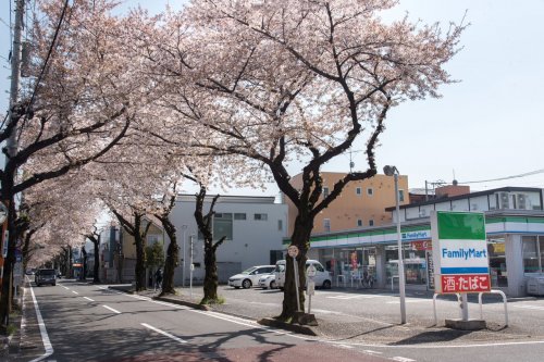 コンビニ　ファミリーマート ふじみ野さくら通店（コンビニ）まで750m