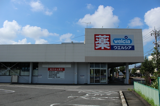ドラックストア　ウエルシア薬局鹿沼貝島店（ドラッグストア）まで706m