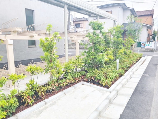 その他　植栽です☆