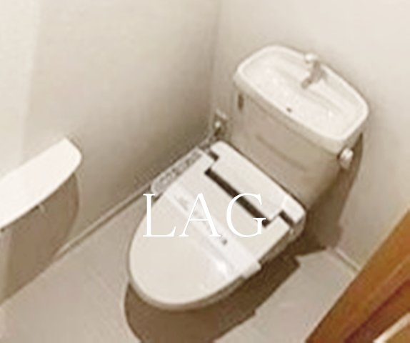 トイレ　トイレになります。