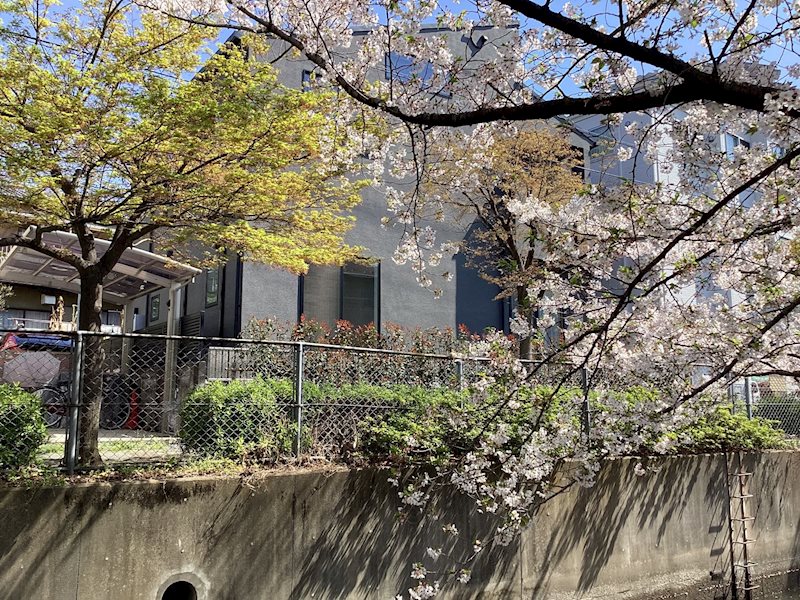 バルコニー　★春には窓から桜が見れます★