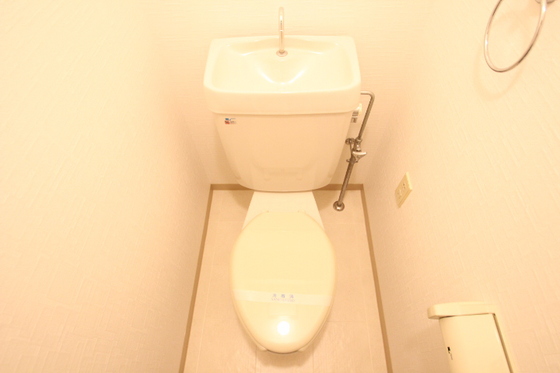 トイレ　※リフォーム前の写真です