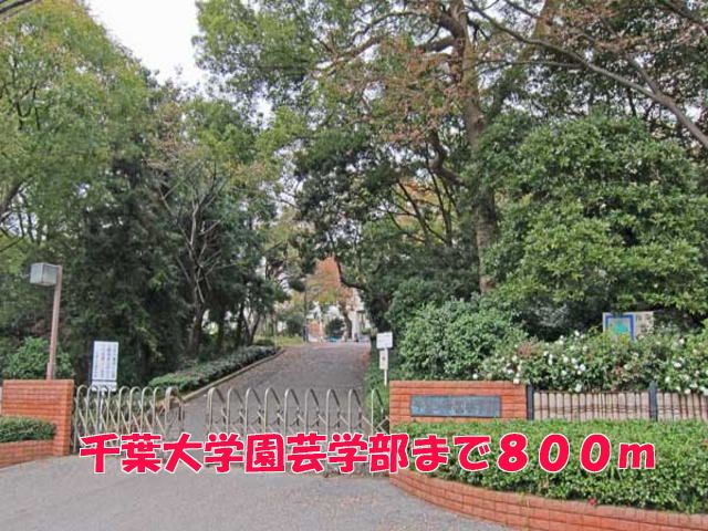 大学・短大　千葉大学園芸学部（大学・短大）まで800m