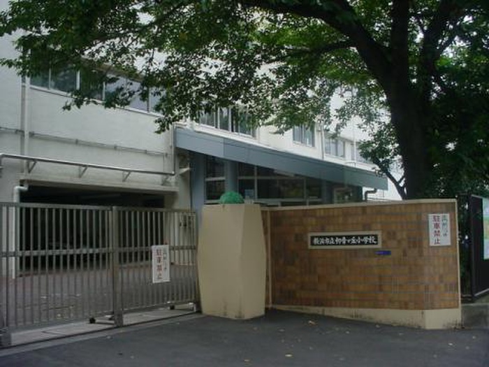 小学校　横浜市立初音が丘小学校（小学校）まで382m