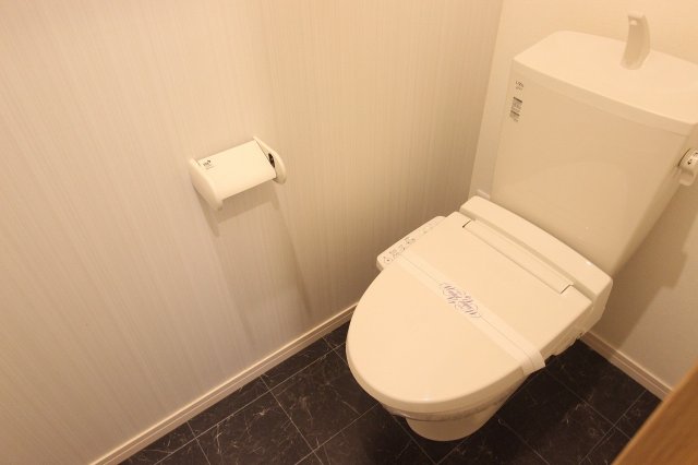 トイレ　同物件別号室のものです。