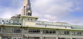 小学校　渋谷区立鳩森小学校（小学校）まで392m