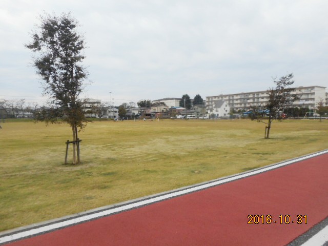 公園　伊勢町ふれあい公園（公園）まで685m