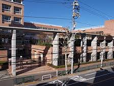 高校・高専　私立富士見丘高校（高校・高専）まで550m