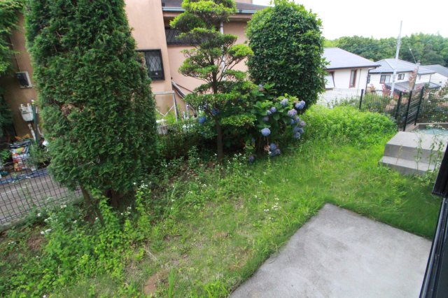 庭