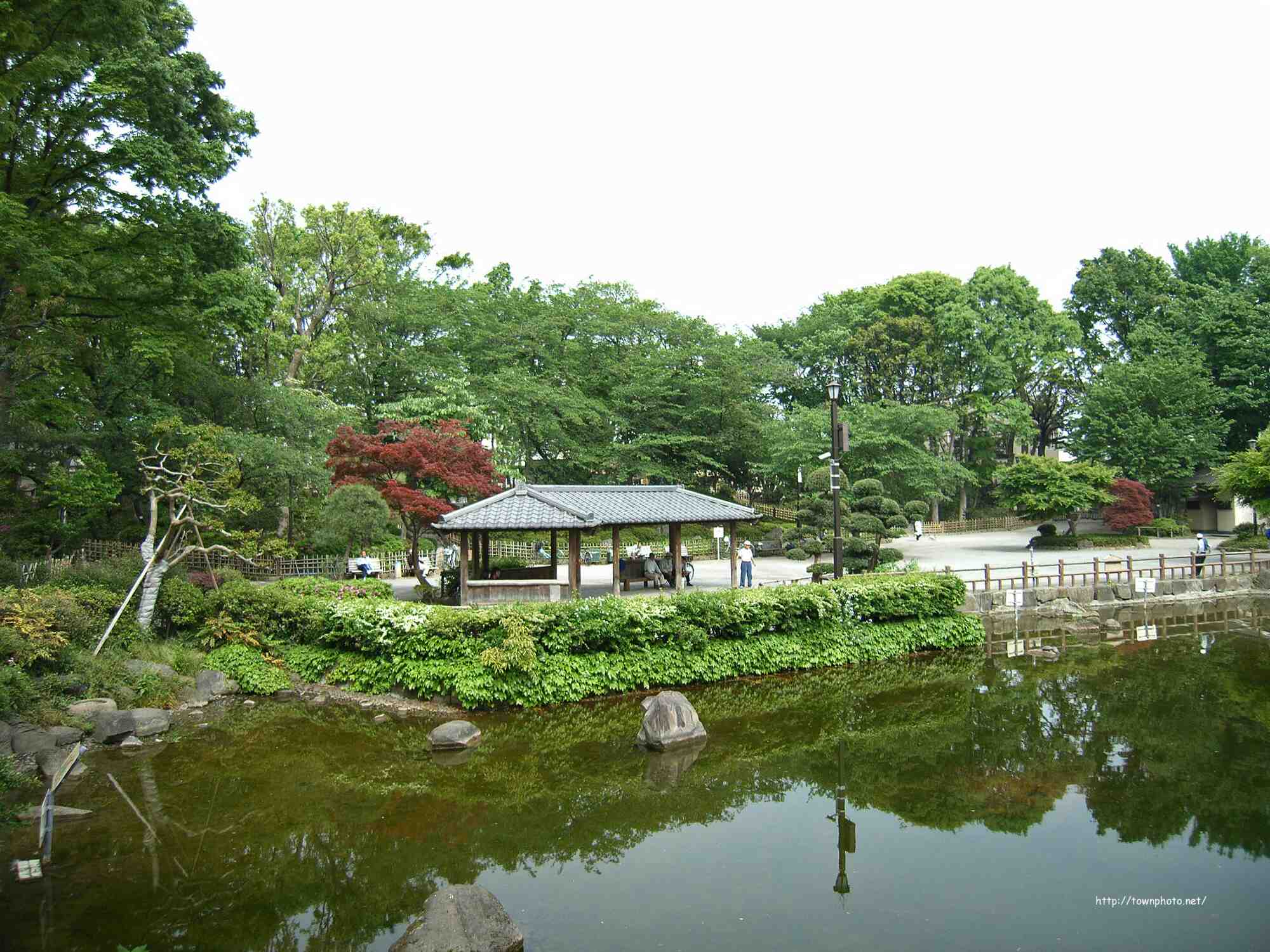 公園　戸越公園（公園）まで555m