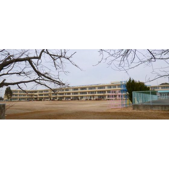 小学校　牛久市立向台小学校（小学校）まで1100m