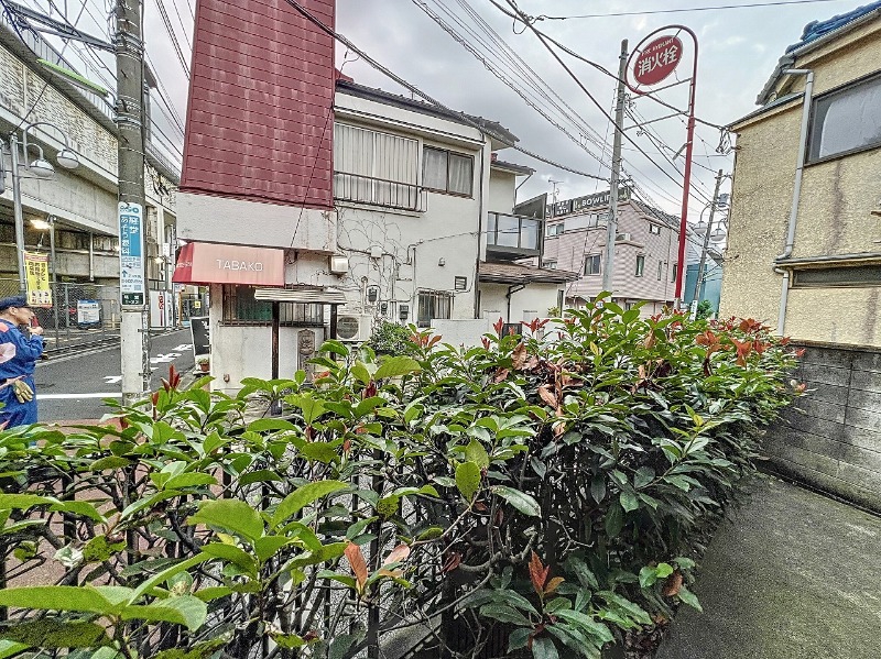眺望　参考写真