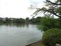 公園　大池親水公園（公園）まで1935m
