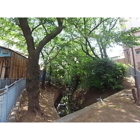 公園　玉川上水緑道（公園）まで442m