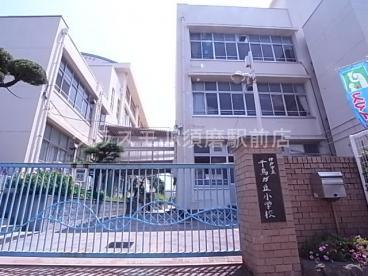 小学校　神戸市立千鳥が丘小学校（小学校）まで409m