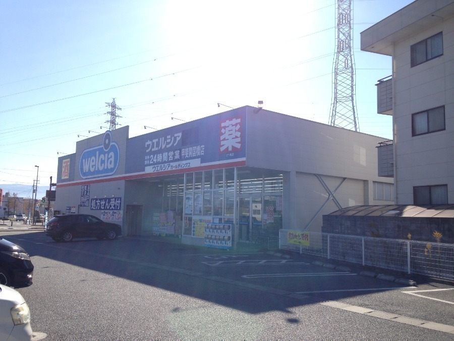 ドラックストア　ウエルシア甲斐開国橋店（ドラッグストア）まで607m
