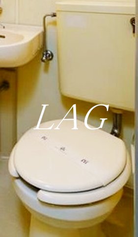 トイレ　トイレです。