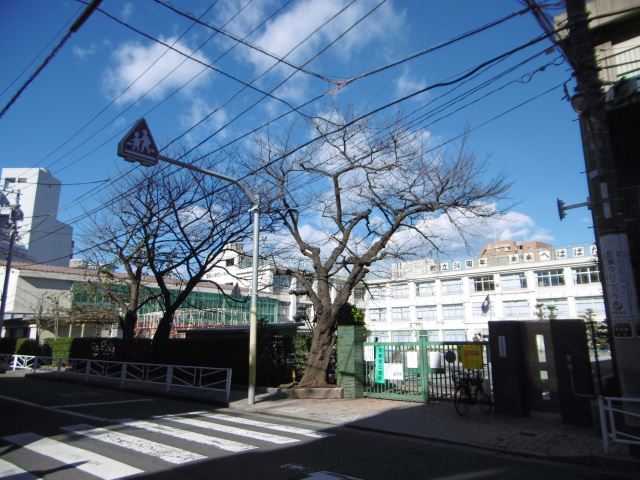 小学校　区立滝野川第四小学校（小学校）まで330m