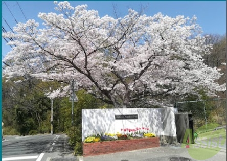 小学校　多田東小学校（小学校）まで710m