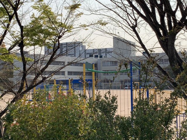 小学校　芦屋市立打出浜小学校（小学校）まで1011m