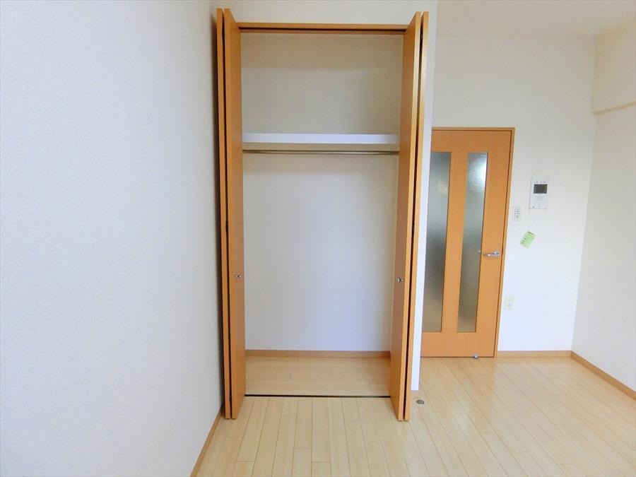 収納　同じ間取りの別部屋の写真です