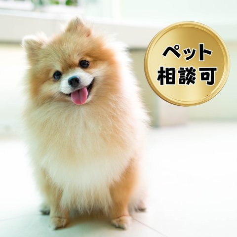 その他　ペット相談可