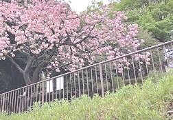 公園　神の木公園（公園）まで1454m
