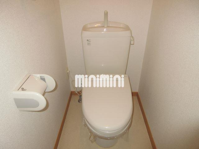 トイレ　トイレです