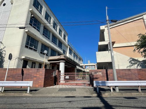 小学校　名古屋市立榎小学校（小学校）まで239m