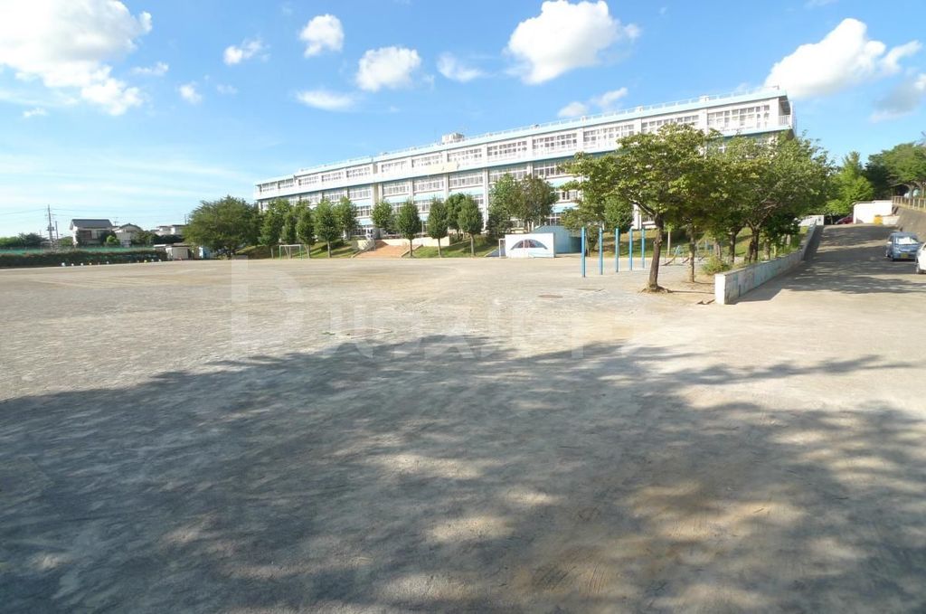 小学校　柏市立大津ケ丘第一小学校（小学校）まで300m