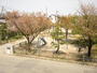 公園　（公園）まで0m
