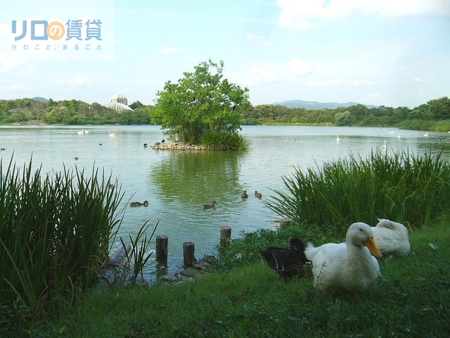 その他　昆陽池公園（その他）まで1410m