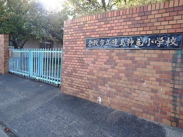 小学校　倉敷市立連島神亀小学校（小学校）まで772m
