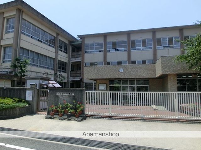 小学校　貝塚市立小学校木島小学校（小学校）まで1084m