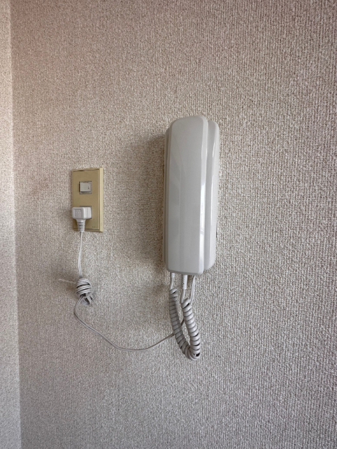 セキュリティ　※同タイプの別部屋の写真です