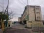 小学校　八尾市立亀井小学校（小学校）まで918m