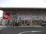 ドラックストア　スギドラッグ上尾店（ドラッグストア）まで1850m