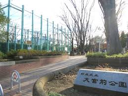 公園　杉並区立 大宮前公園（公園）まで347m