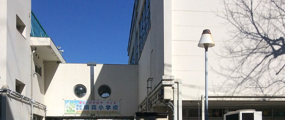 小学校　渋谷区立鳩森小学校（小学校）まで118m