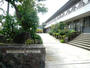 幼稚園・保育園　平戸幼稚園（幼稚園・保育園）まで441m