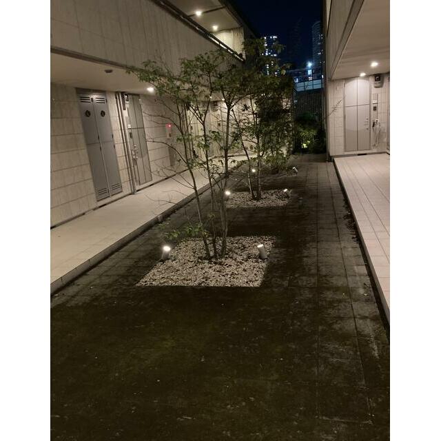 庭